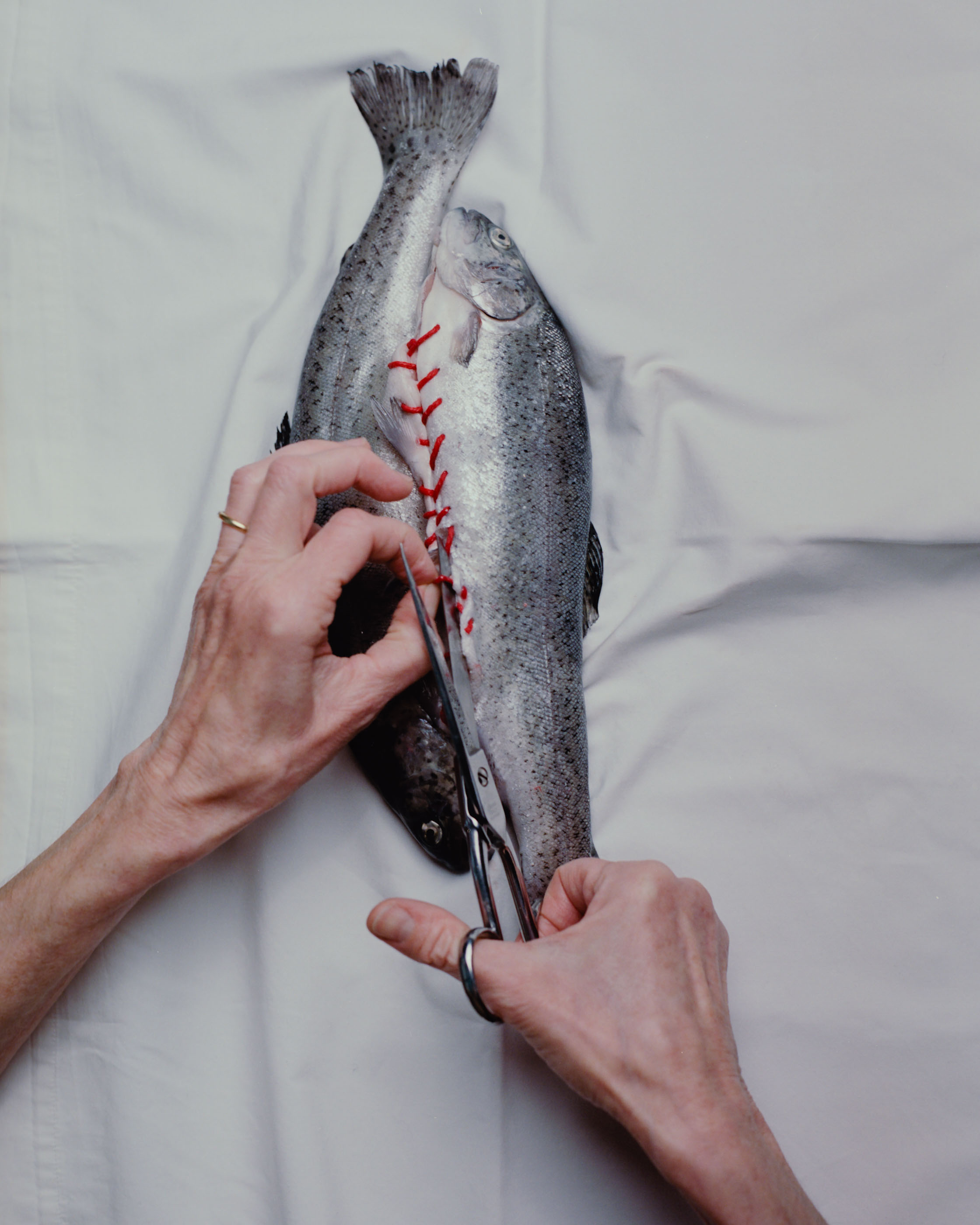 Nicolas Lehni I (Re)imagining my mom