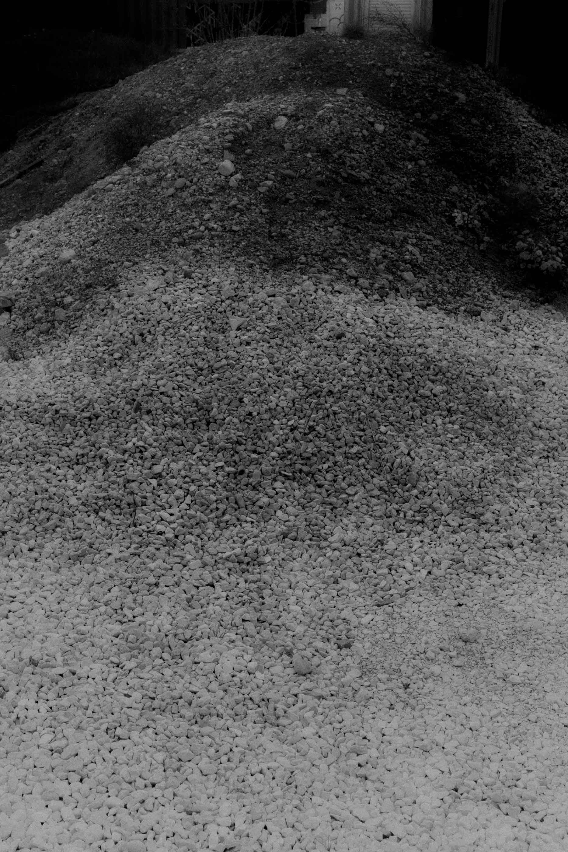 Nicolas Lehni I Terrain Vague