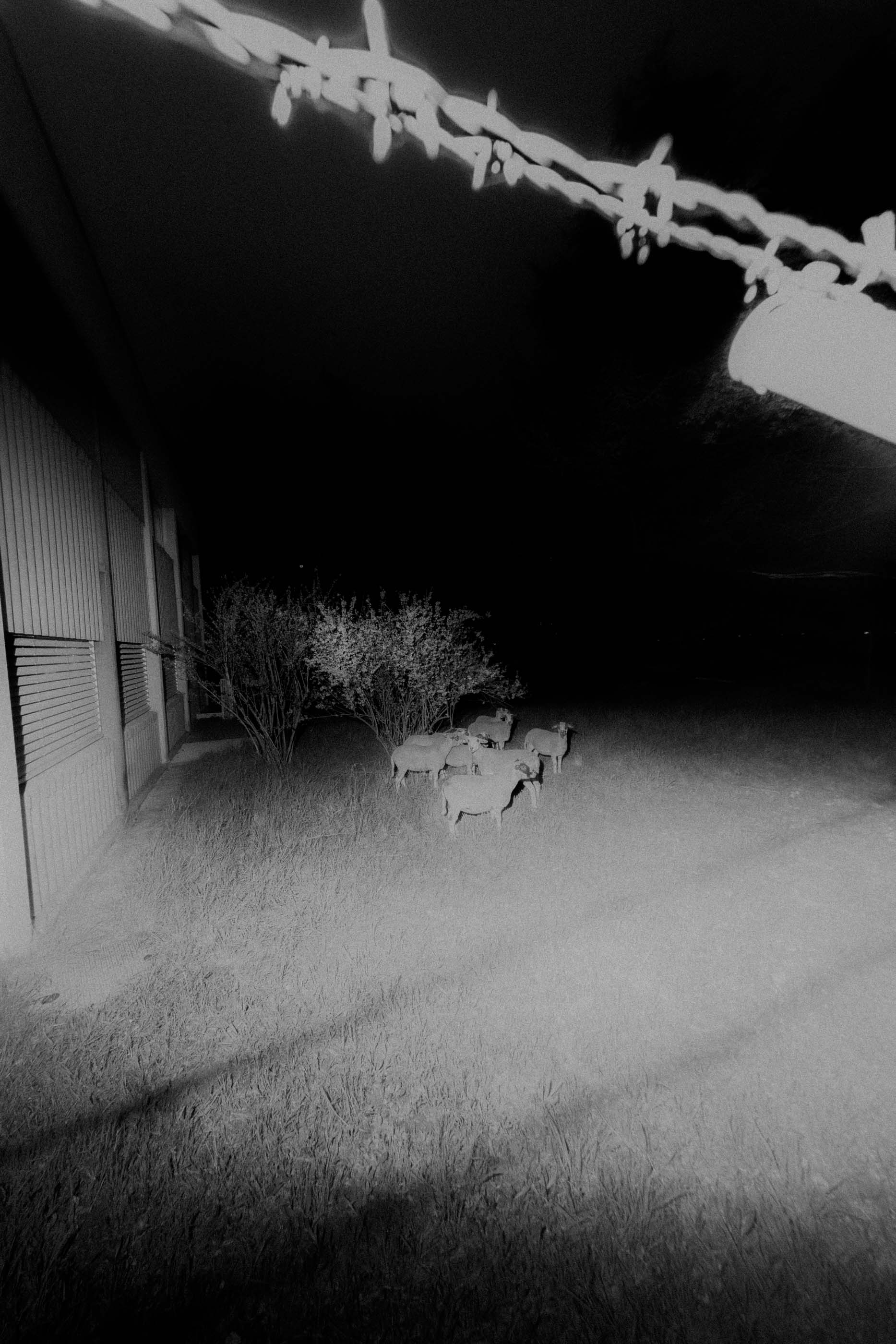 Nicolas Lehni I Terrain Vague