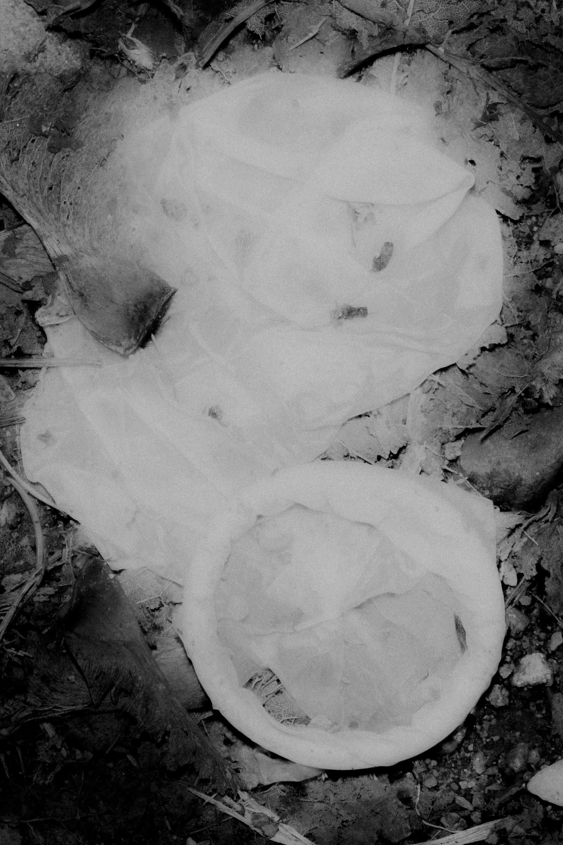 Nicolas Lehni I Terrain Vague