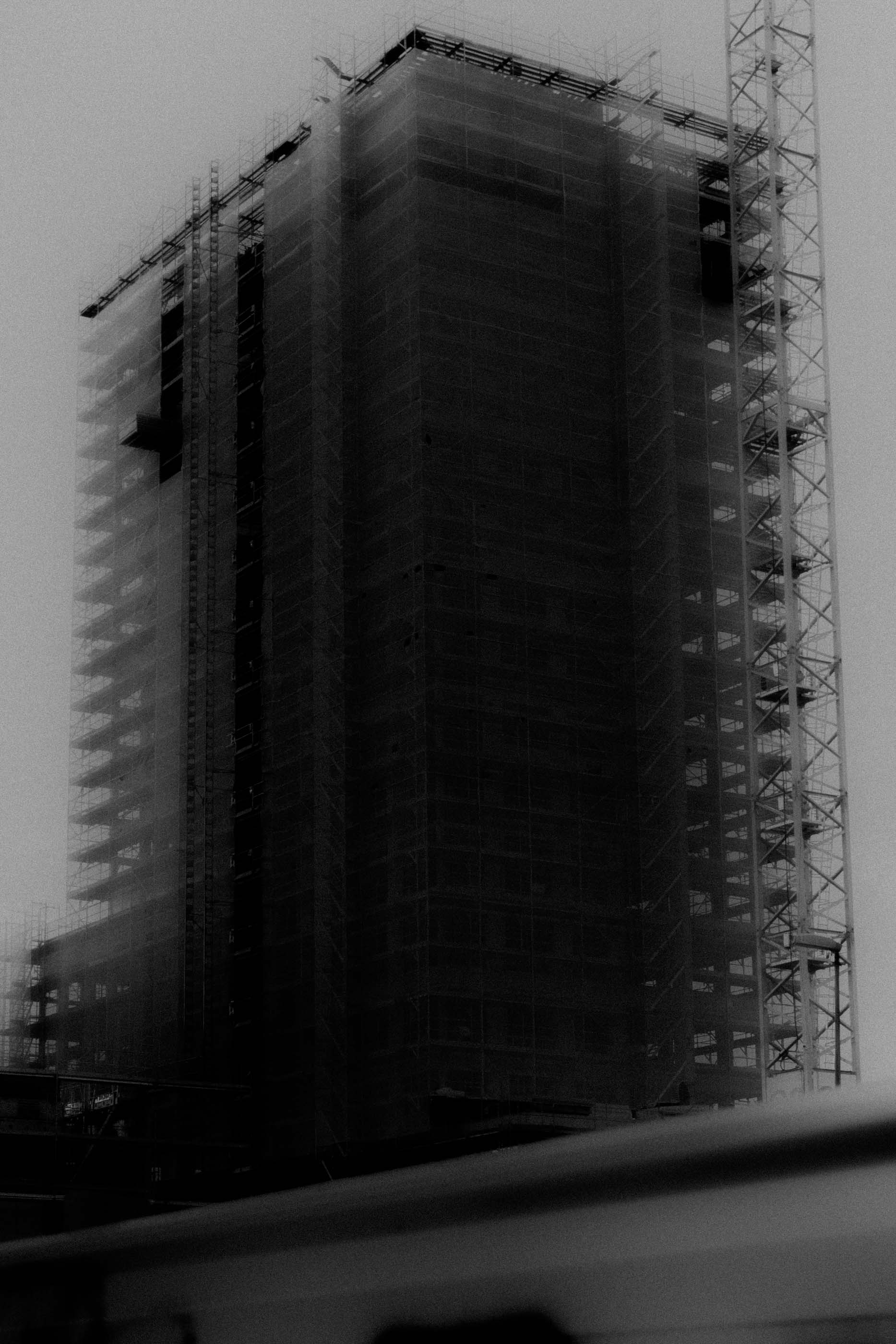 Nicolas Lehni I Terrain Vague